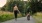 a man walking a dog on a road