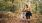 a woman walking a dog on a trail in the woods