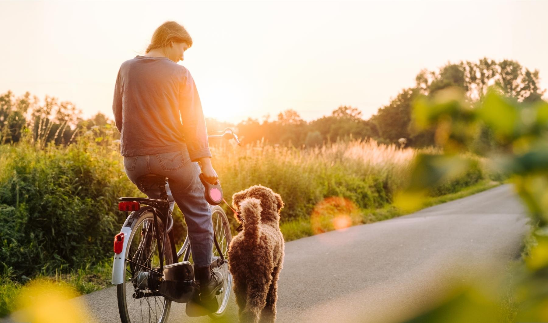 a man riding a bicycle with a dog on the back