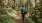 a person walking on a trail in the woods